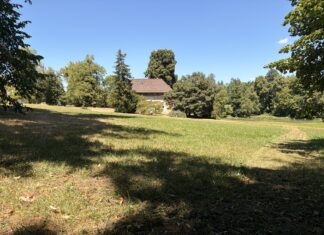 randonnée Pointre Jura rural