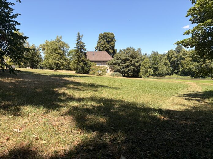 randonnée Pointre Jura rural
