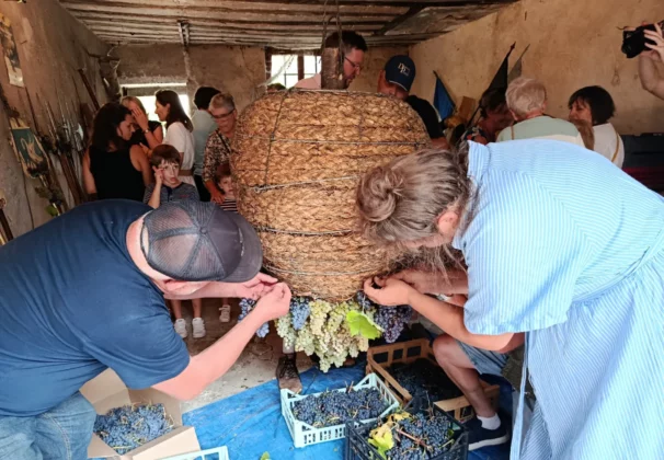 La confection de la grappe d&eacute;marre.