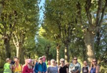 Louhans-Châteaurenaud. Bouger à son rythme pour rester en forme En Forme Atout’âge Louhans
