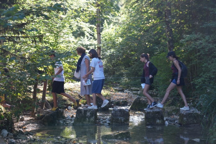 Le long du ruisseau