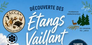 Découverte étangs vaillant chapelle voland