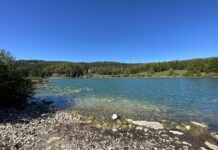 Lac Genin