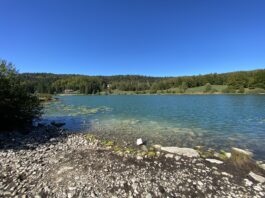 Lac Genin