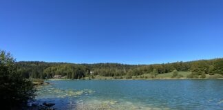 Lac Genin