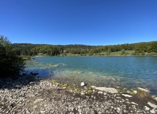 Lac Genin