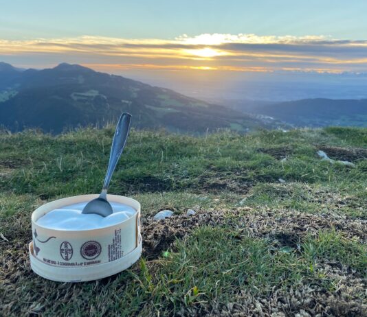 Région. Malgré les difficultés liées à la canicule, la vente de Mont d’Or est officiellement lancée
