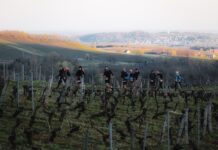 Arbois. Un engouement record pour le Trail du Cirque du Fer à Cheval