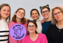 Les Chats