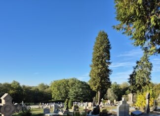 Dossier de la semaine. Ces histoires méconnues qui se cachent dans les cimetières