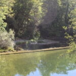 Bord de rivière à Thoirette, zone de détente