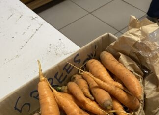 Nantua. Le collège Xavier-Bichat met les produits locaux à l’honneur Carotte