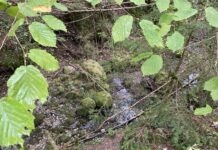 Cours d'eau