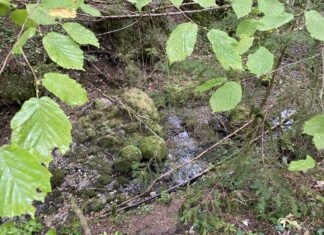 Cours d'eau