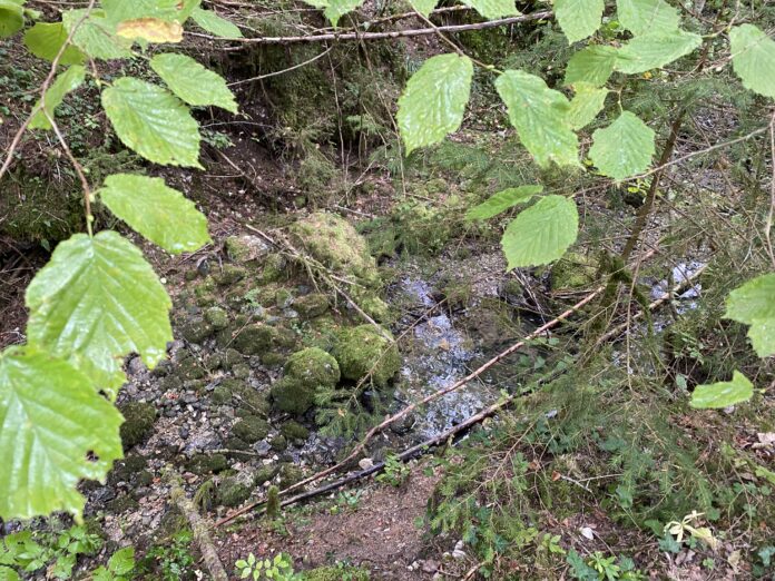 Cours d'eau