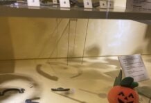 Izernore. Des vacances de la Toussaint entre archéologie, créativité et mystères Musée Izernore Halloween