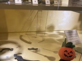 Izernore. Des vacances de la Toussaint entre archéologie, créativité et mystères Musée Izernore Halloween
