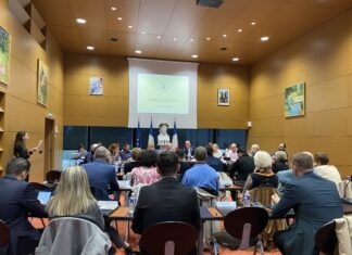Conseil Municipal Oyonnax