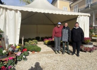 Cramans. À l’ESAT, les fleurs de la Toussaint cultivent aussi l’inclusion