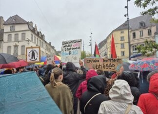 Jura. Du nord au sud du département, retour sur les mobilisations du 17 octobre